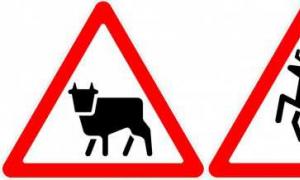 Необычные дорожные знаки со всей планеты Дорожные знаки о выходе животных на автостраду