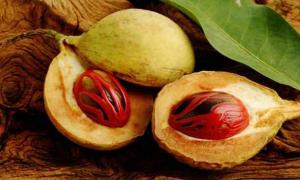 Мускатный орех молотый - калорийность, польза и вред Мускусный орех