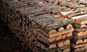 Какие дрова лучше для твердотопливного котла: почему один сорт древесины лучше другого?