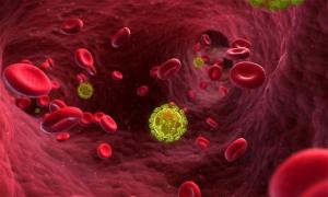 HIV enfeksiyonunun belirtileri nelerdir?