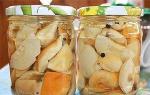 Porçini mantarı turşusu tarifleri: hızlı pişirme ve kış için soğanla marine edilmiş Boletus mantarları