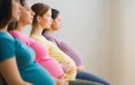 Hamilelik belgesi: damgalı örnek