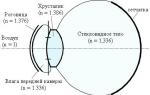 Diagrama de la estructura y principio del ojo humano.
