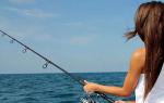 Neden şirkette veya yalnız başına balık tutmayı hayal ediyorsun?